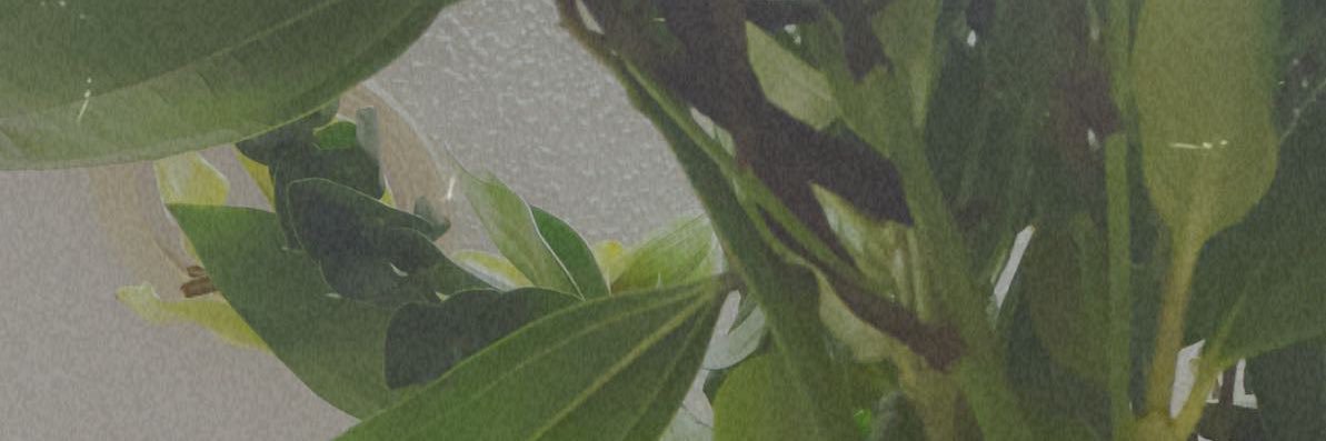 chantz699's profile banner image