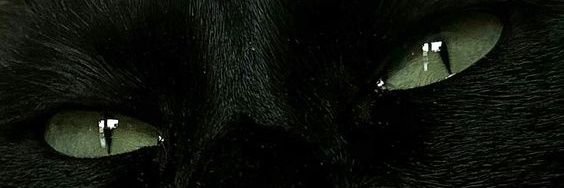 febriannand's profile banner image