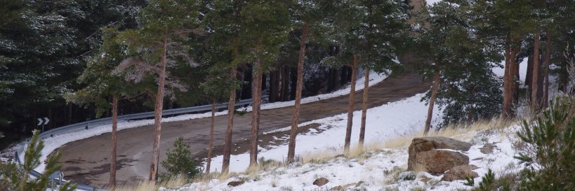 Pablo Tejeda banner
