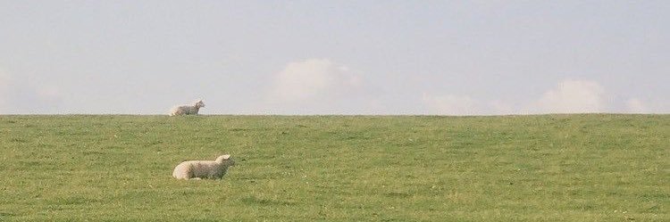 ykkyoke's profile banner image