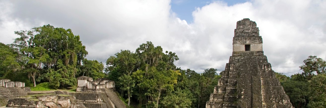 mayantrip's profile banner image