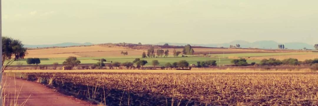 __salvadorg's profile banner image