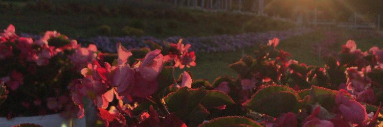 norma_hu's profile banner image