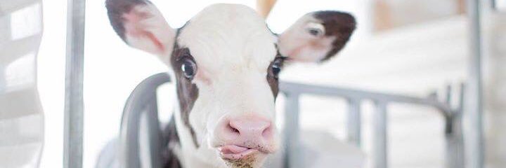 efarm2010's profile banner image