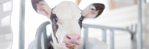 efarm2010 Profile Banner