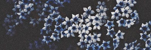 4531191's profile banner image