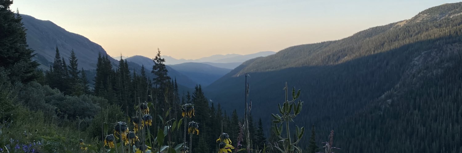 AlexNeverTweets's profile banner image
