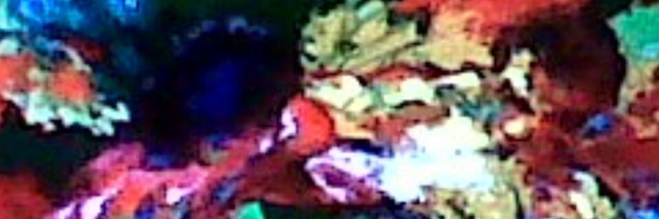 TweetyQq's profile banner image