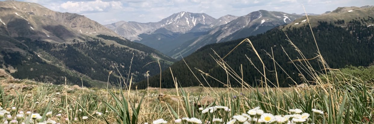 christyiaumer's profile banner image