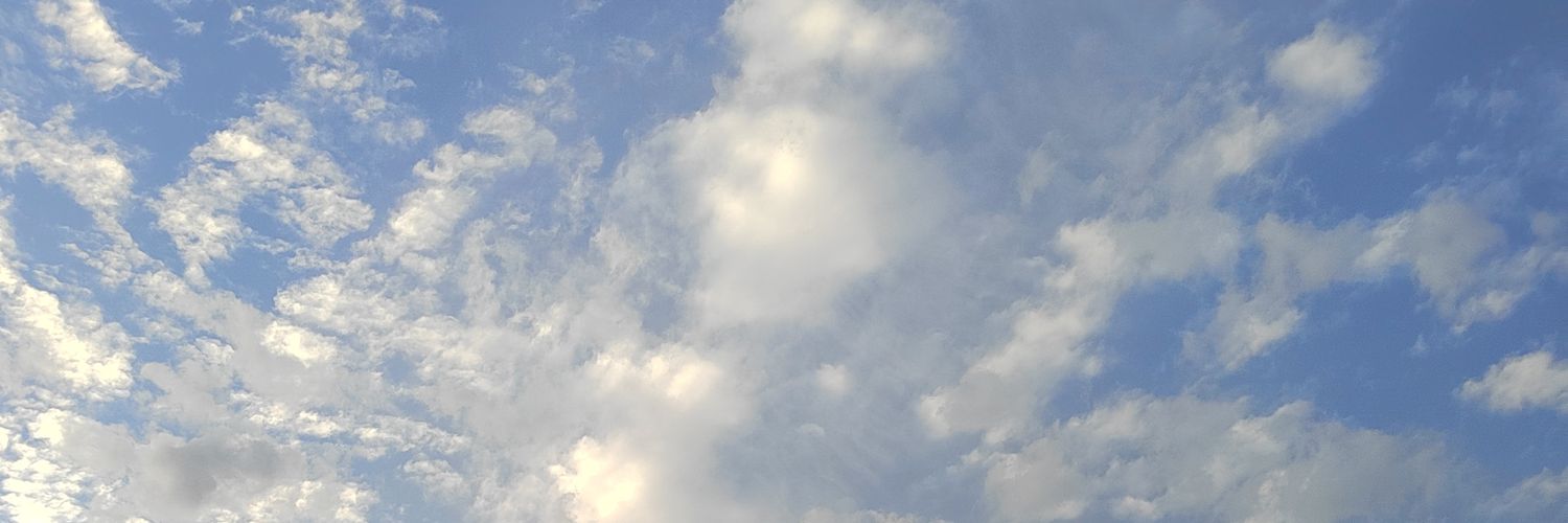 alzari0's profile banner image