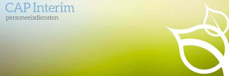 CAPInterim's profile banner image