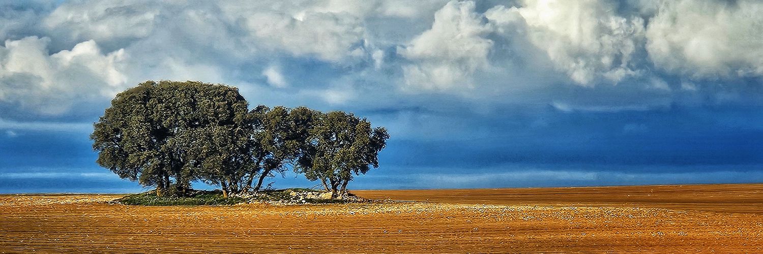 ld_tormes's profile banner image