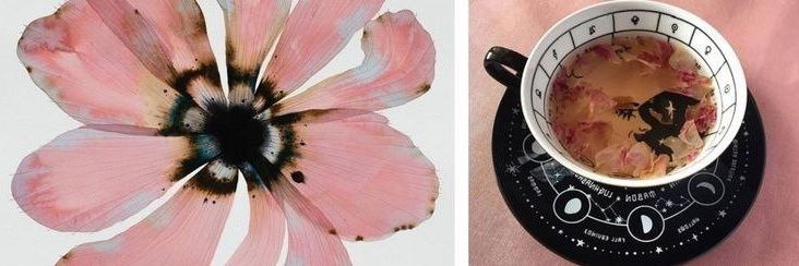` banner