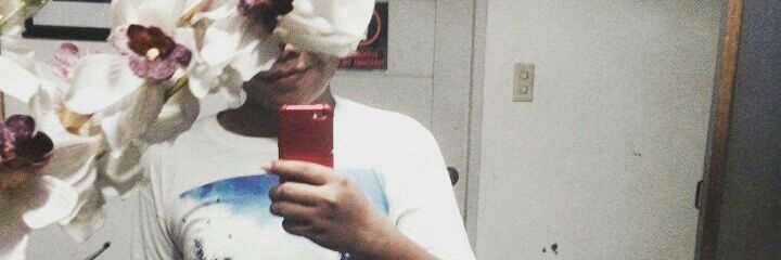 _pijitsim's profile banner image