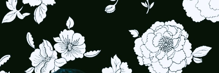Lettiisolis's profile banner image