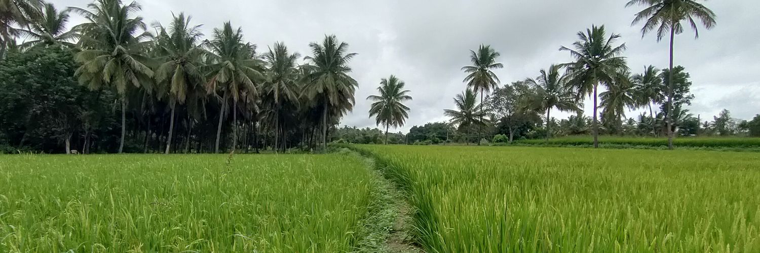 thilothamans's profile banner image