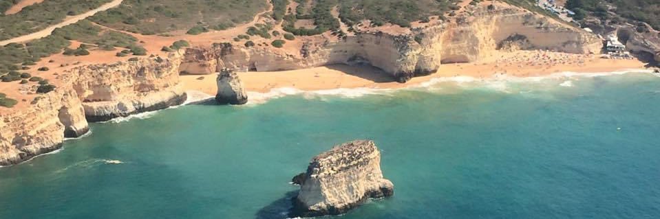 Des Vertannes banner