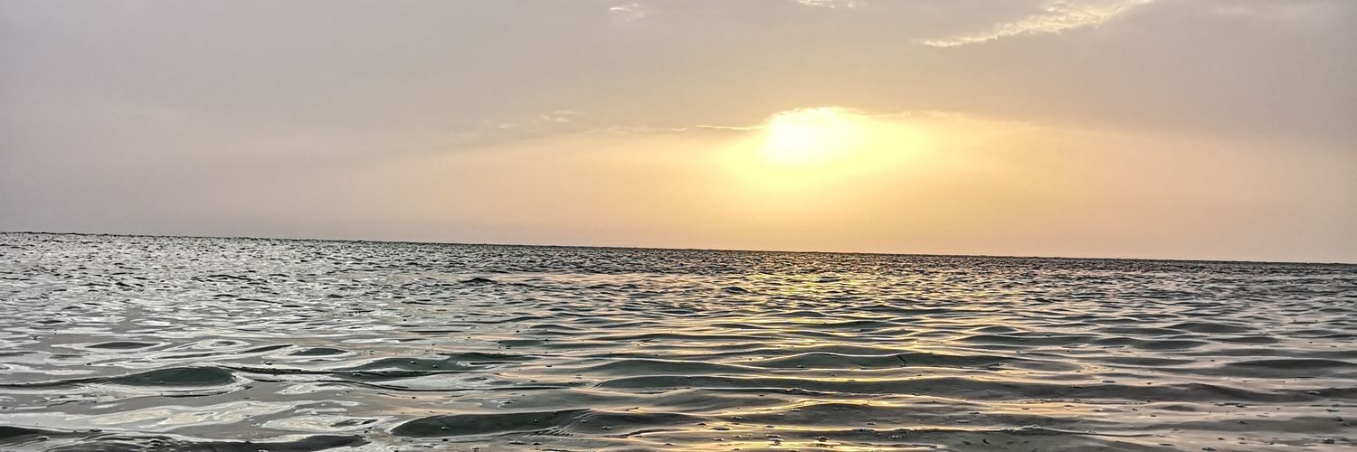Ro7i0Ent's profile banner image