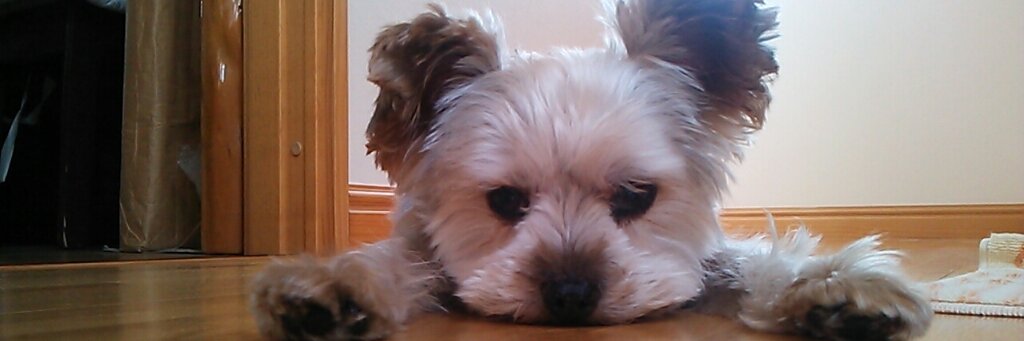 ミシュランマン【ペニーORL#1】 banner