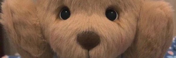 weigys Profile Banner