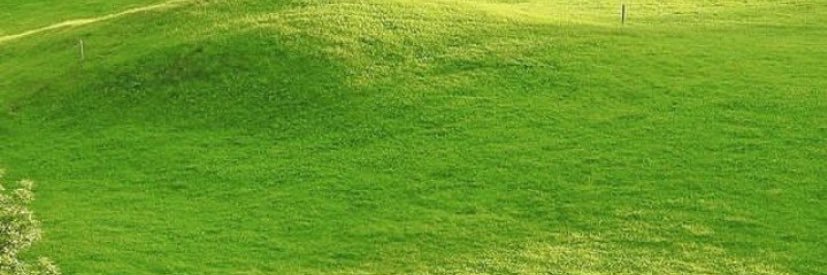 alksled's profile banner image