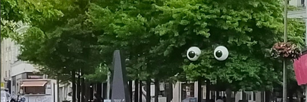 marthallerj's profile banner image