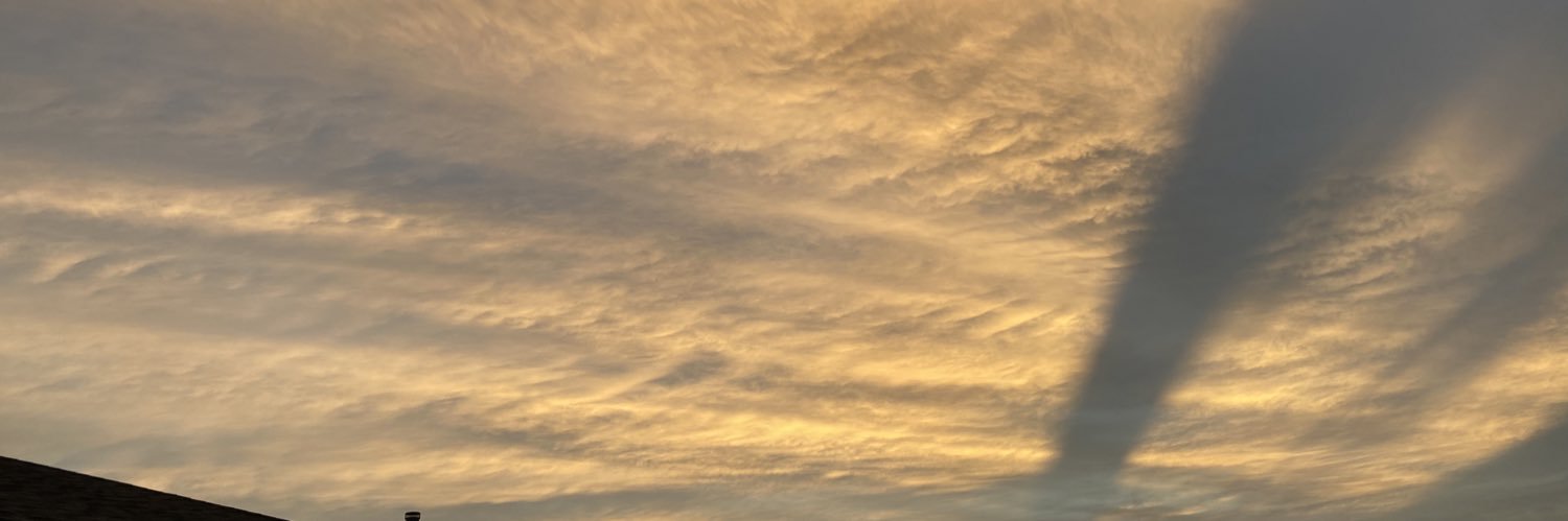 Melinda Lopez banner