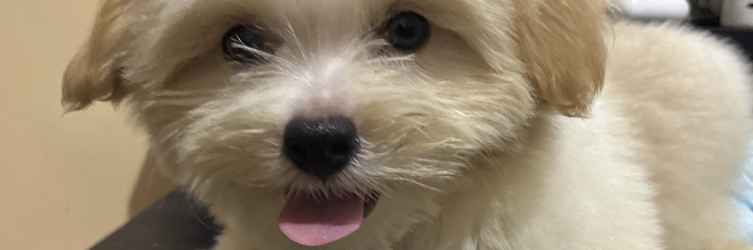 nilojhoi19's profile banner image