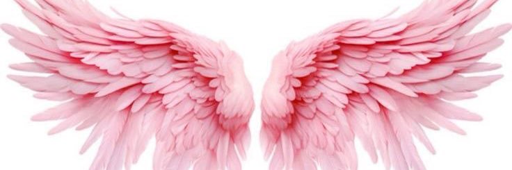 burcutuyluoglu's profile banner image