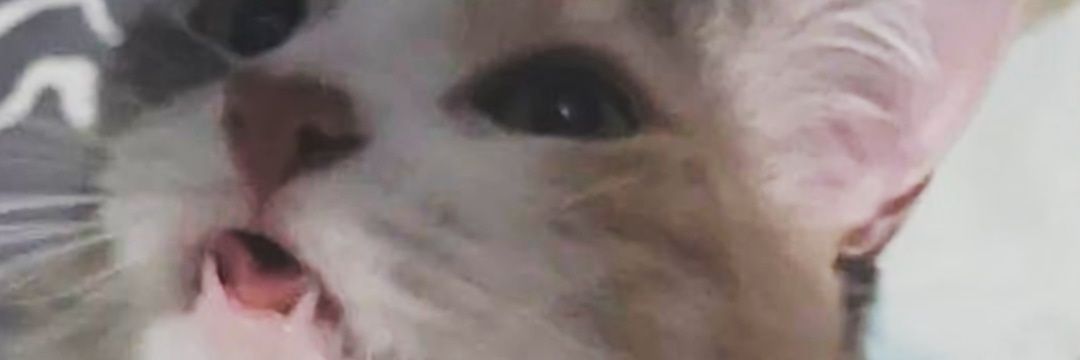 MetroArc0's profile banner image