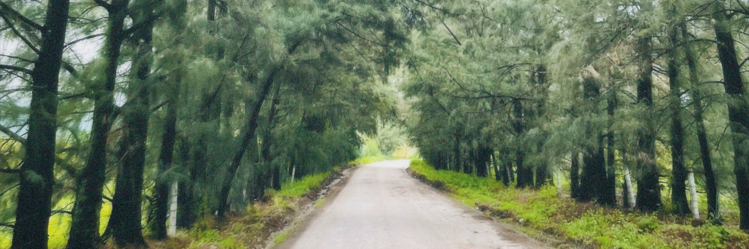 LisetteM_'s profile banner image