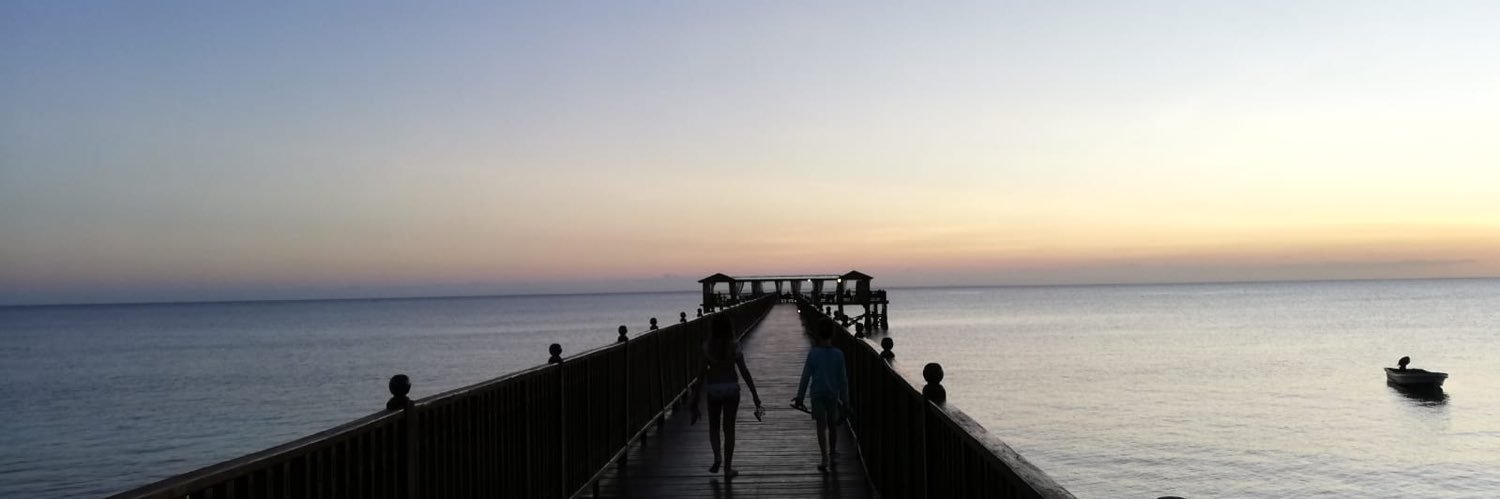 Virginie Dominguez banner