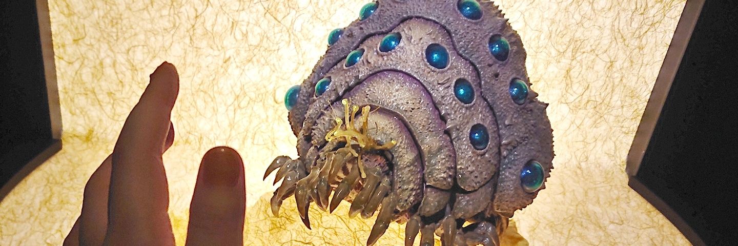 indigonyanko's profile banner image