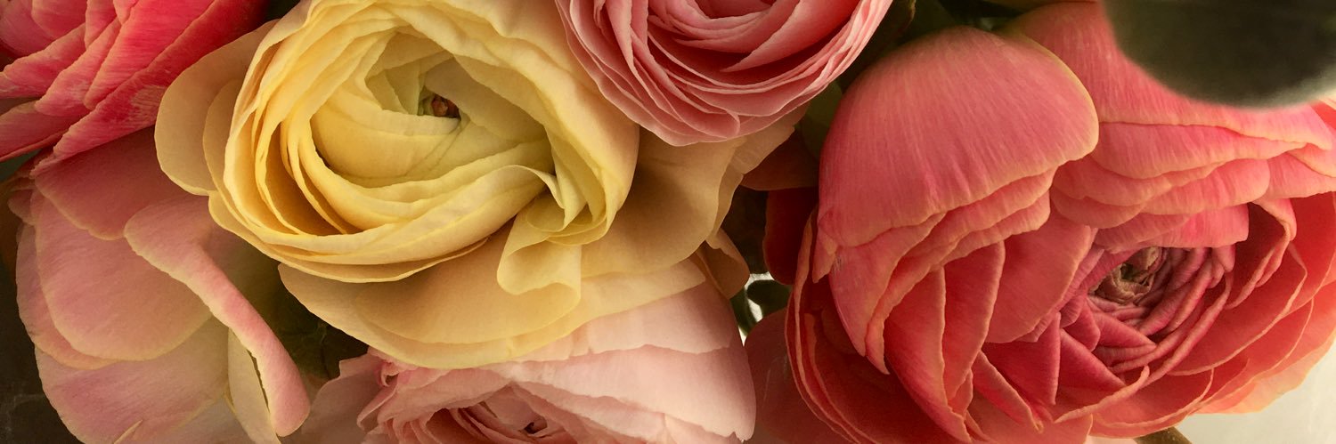tomojitap's profile banner image