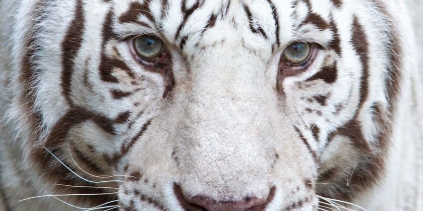aliabas691's profile banner image