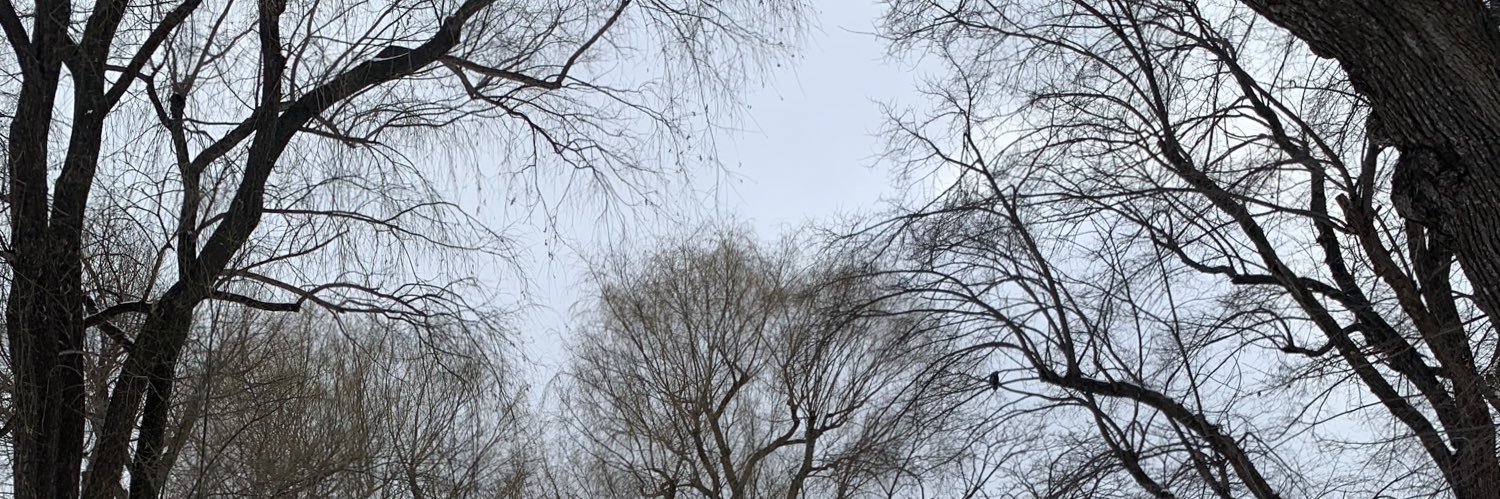 noblethrone1's profile banner image