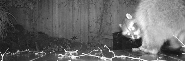 mary_roach Profile Banner