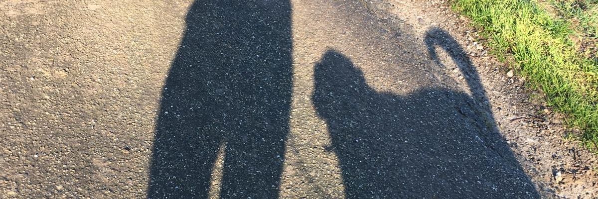 DutchCoolHans's profile banner image