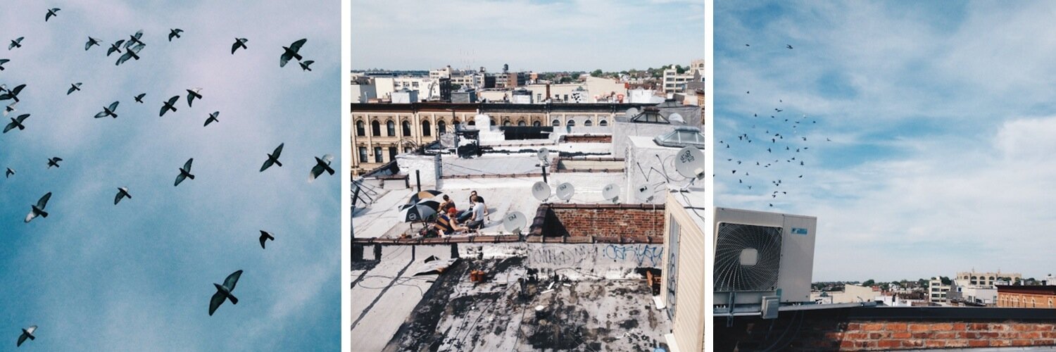 Brooke Torres banner