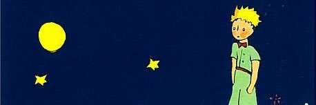 🪷niloofarflower🪷 banner