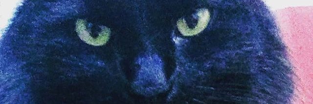 Hedalith's profile banner image