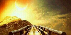 lifabri's profile banner image