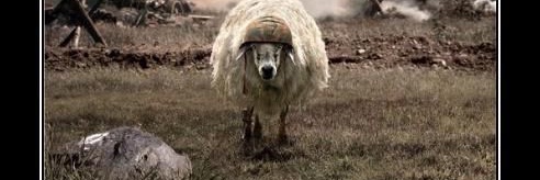 Dr Sheep Person Podge's banner