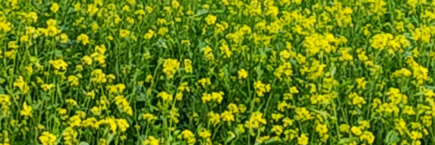 manojdasta's profile banner image