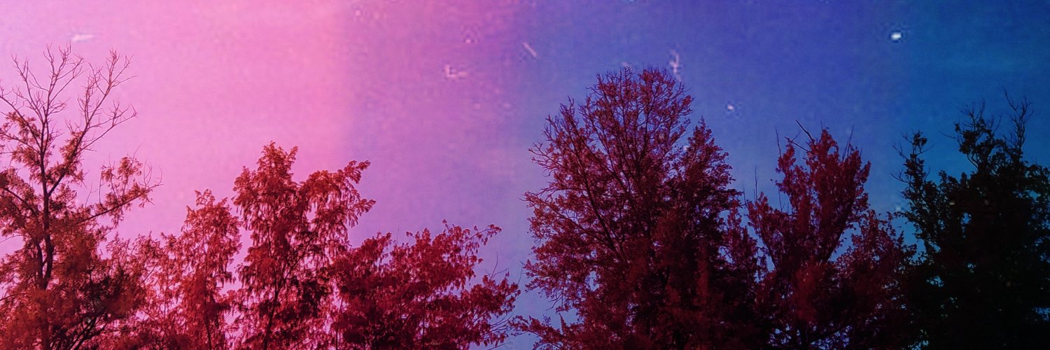 SheNickTis's profile banner image