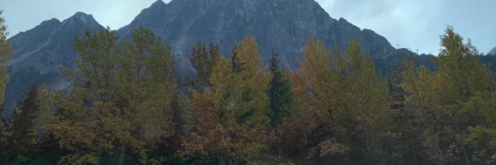 Charly_andy's profile banner image