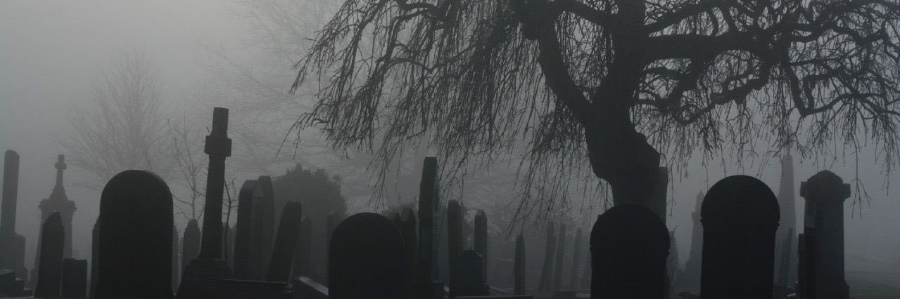 hannahgray1998's profile banner image
