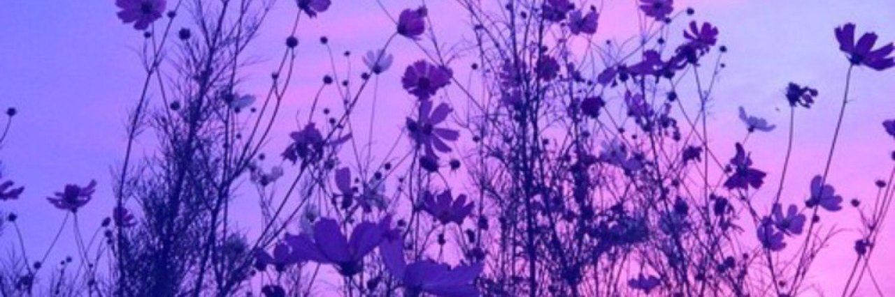 alolasandslash's profile banner image