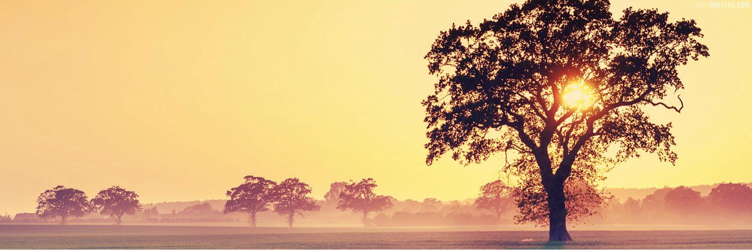 Erinn_Benn's profile banner image