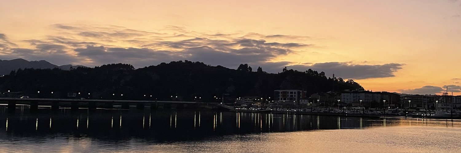 marina_vindel's profile banner image